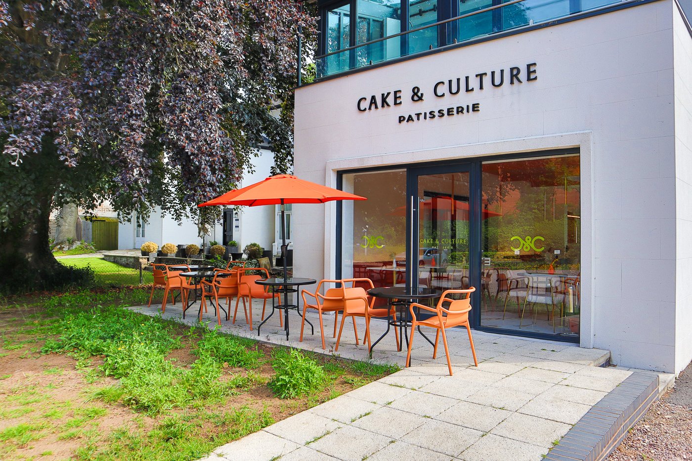 Cake and Culture