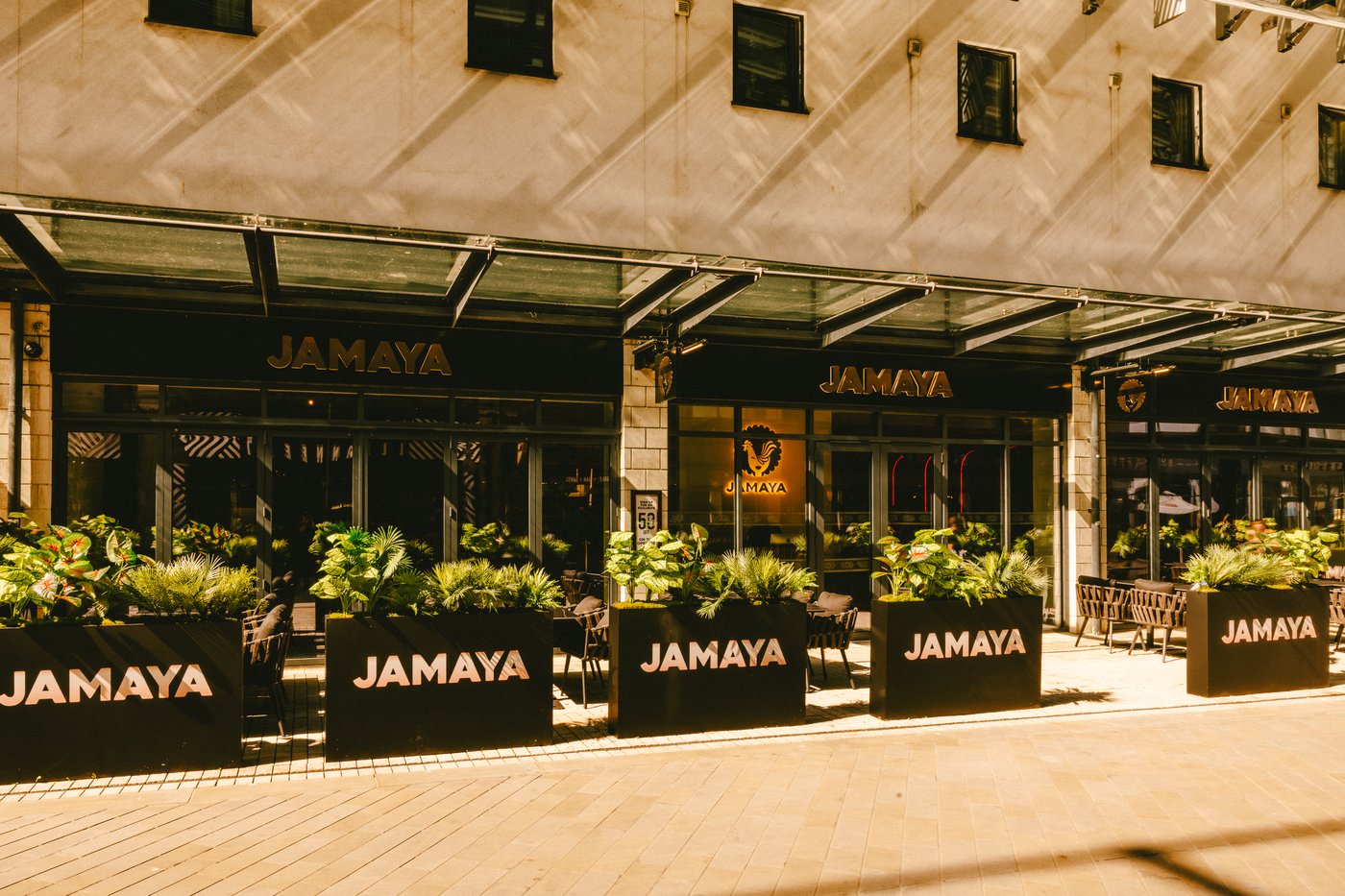 Jamaya